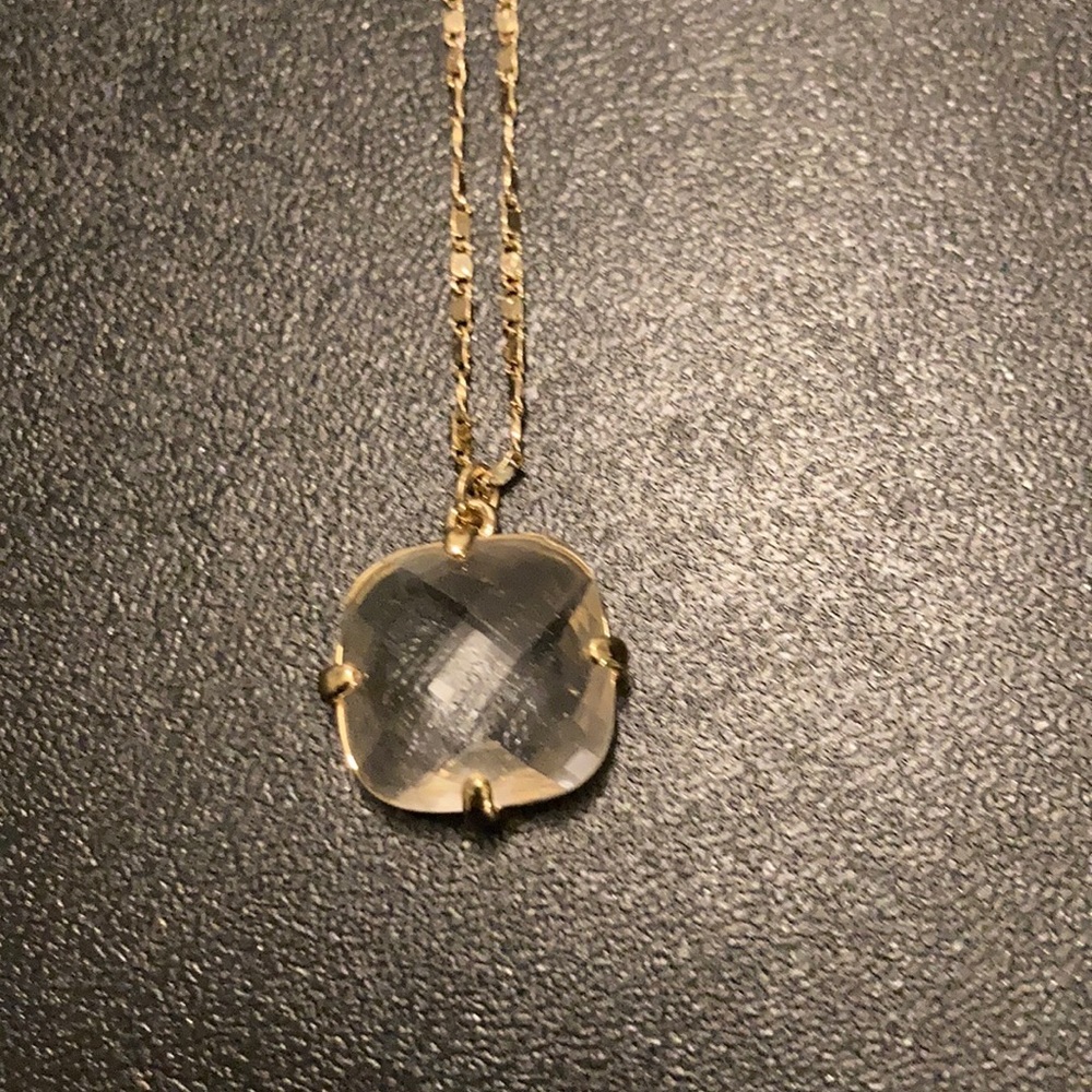 NWOT Express Long Necklace